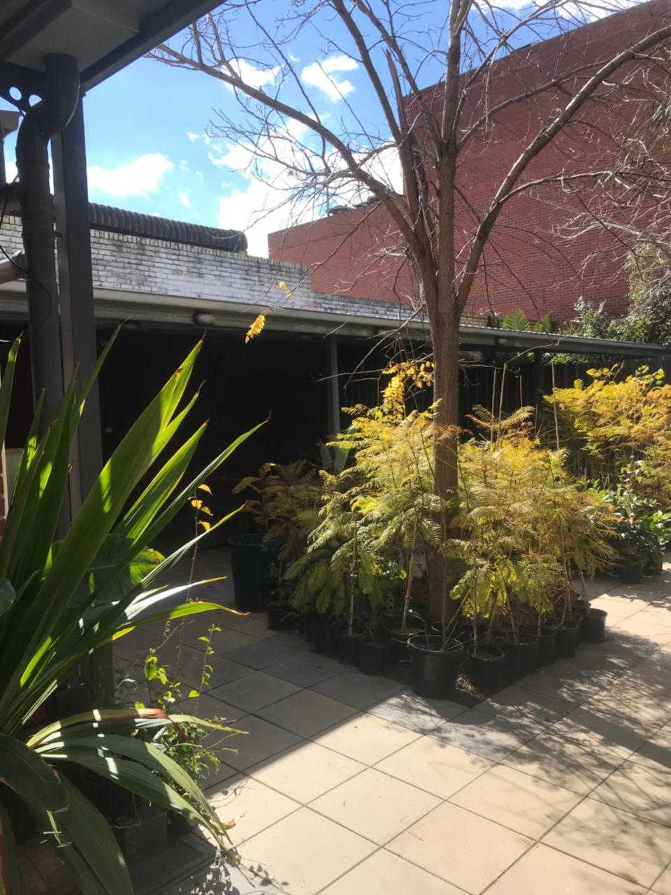 Crown Cbd Motel - City Location Bendigo Exterior foto